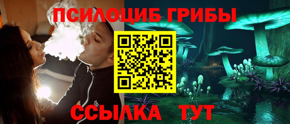 купить наркотики цена  Галлюциногенные грибы Psilocybine cubensis  Галлюциногенные грибы мицелий  Вход с VPN  Ликино-Дулёво 
