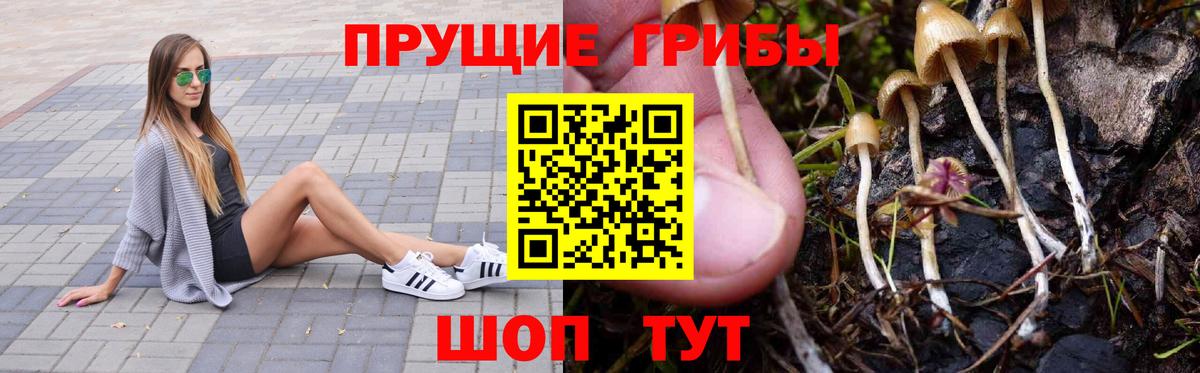 Галлюциногенные грибы GOLDEN TEACHER Ликино-Дулёво